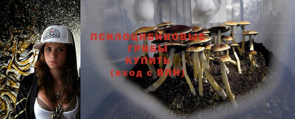 дживик Алексеевка
