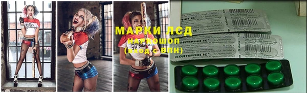 spice Алзамай