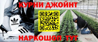 стаф Краснокаменск