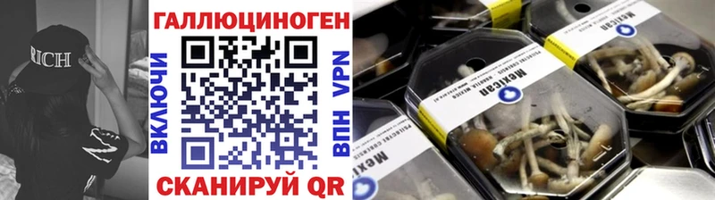 Галлюциногенные грибы MAGIC MUSHROOMS  Луга 