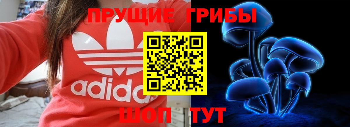 Псилоцибиновые грибы Cubensis Луга